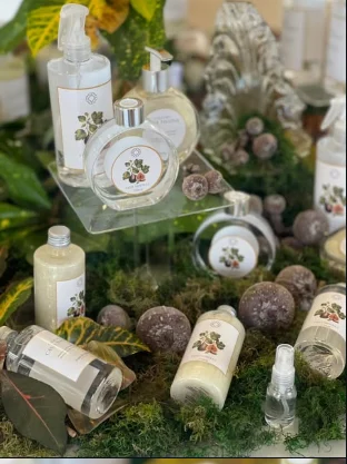 Produtos Flor de Nina apresentados entre folhagens e elementos botânicos